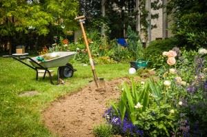 Garden with wheelbarrow and spade