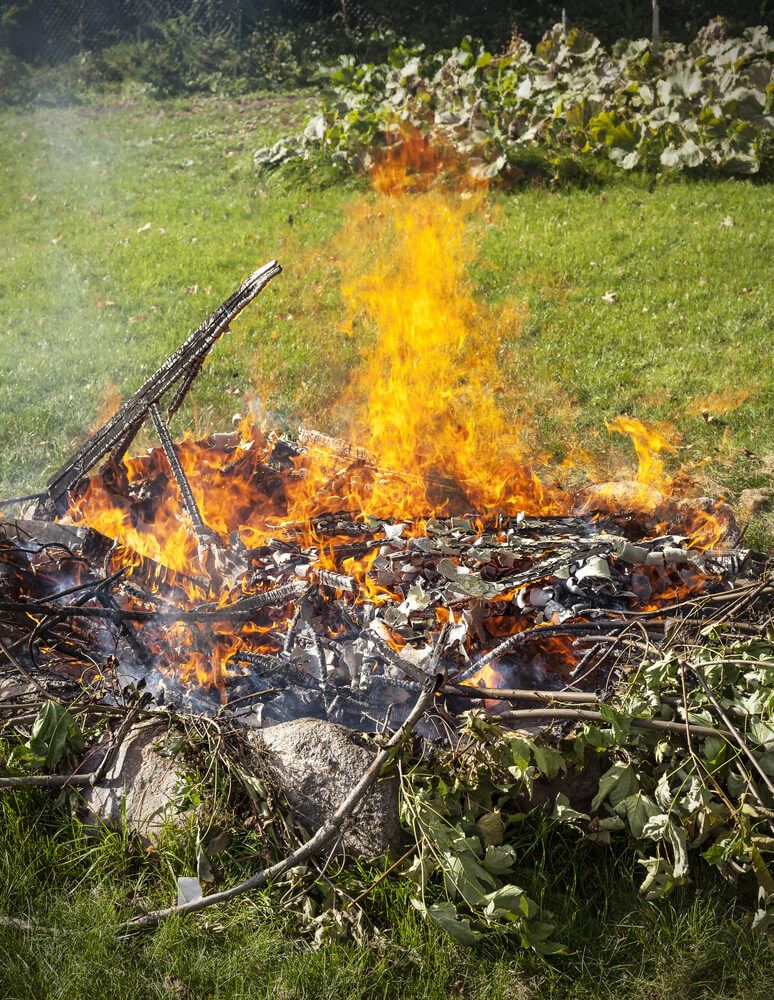 bonfire
