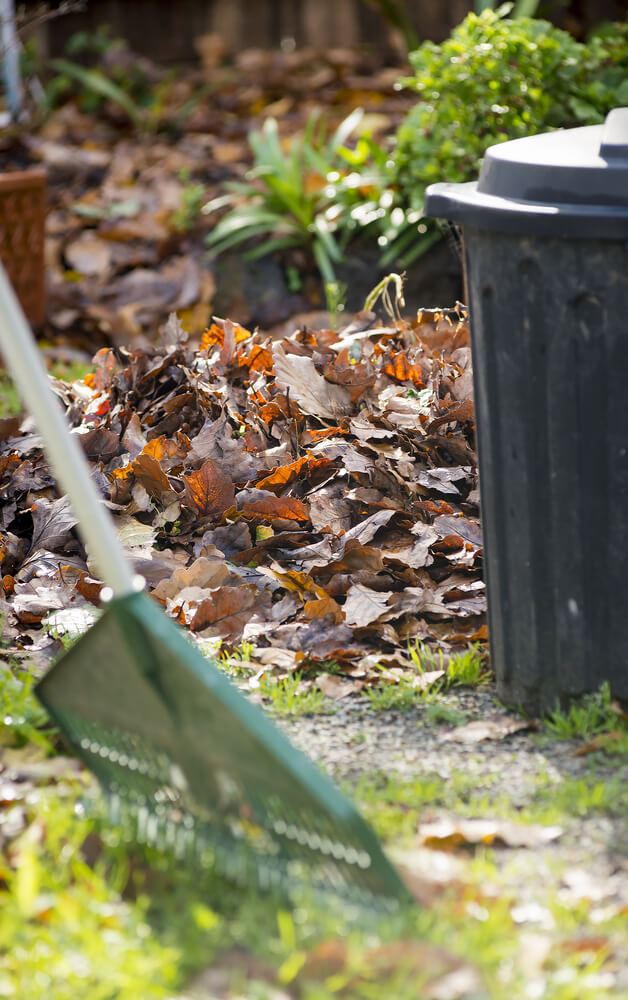 leaves-being-raked