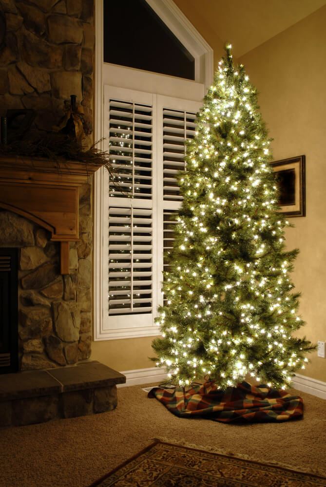 christmas tree with lights on
