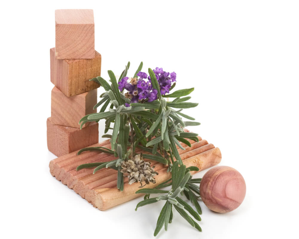 Cedar Blocks - moth protection
