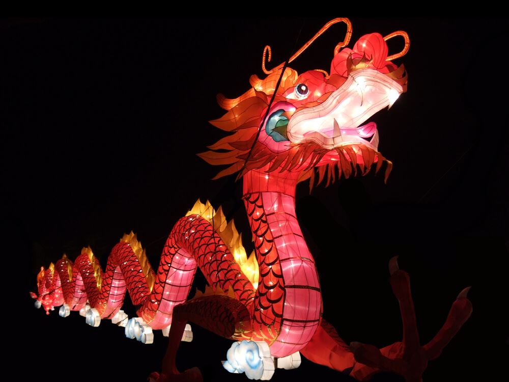 dragon decoration