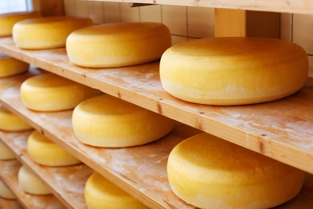 rolls of cheese