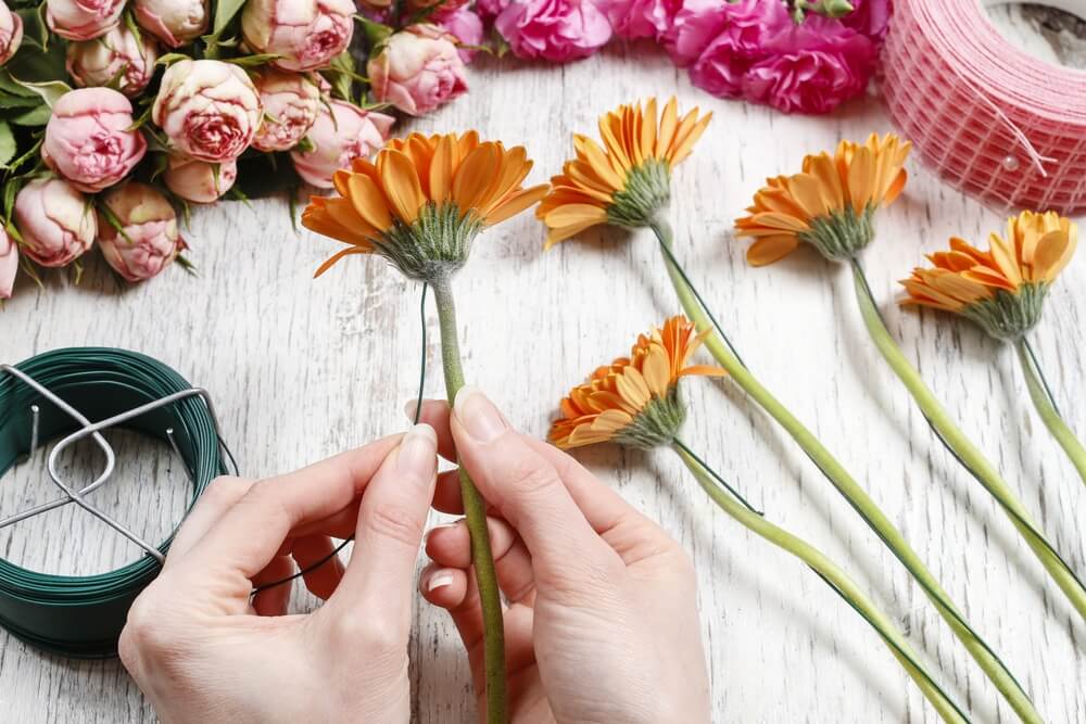 orange flowers