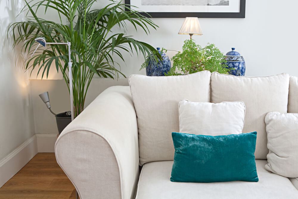 cream sofa