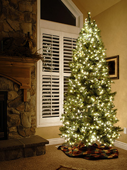 christmas tree infront of window shutters