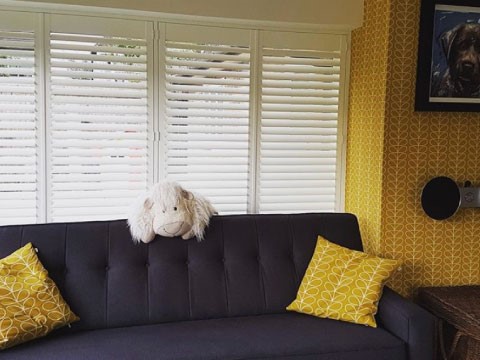 White conservatory shutters 