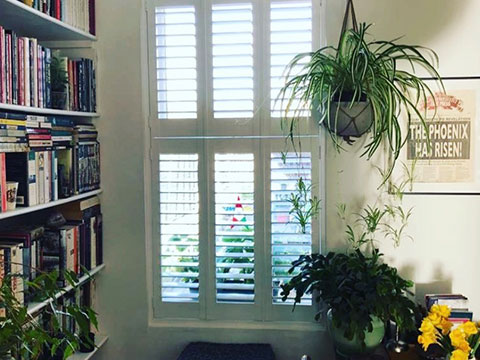 White tear-on-tear window shutters in a study room with books and plants.