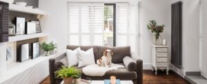 white living room shutters